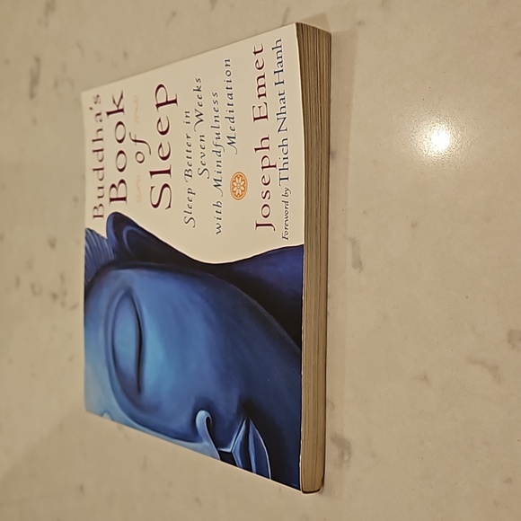 Buddha's Book Of Sleep by Joseph Emet - Picture 3 of 9